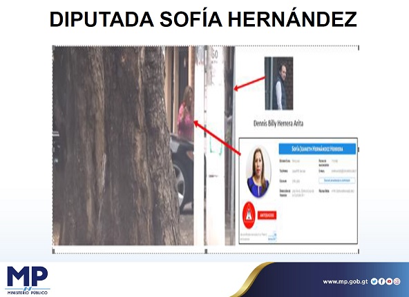 DIPUTADA SOFÍA HERNÁNDEZ