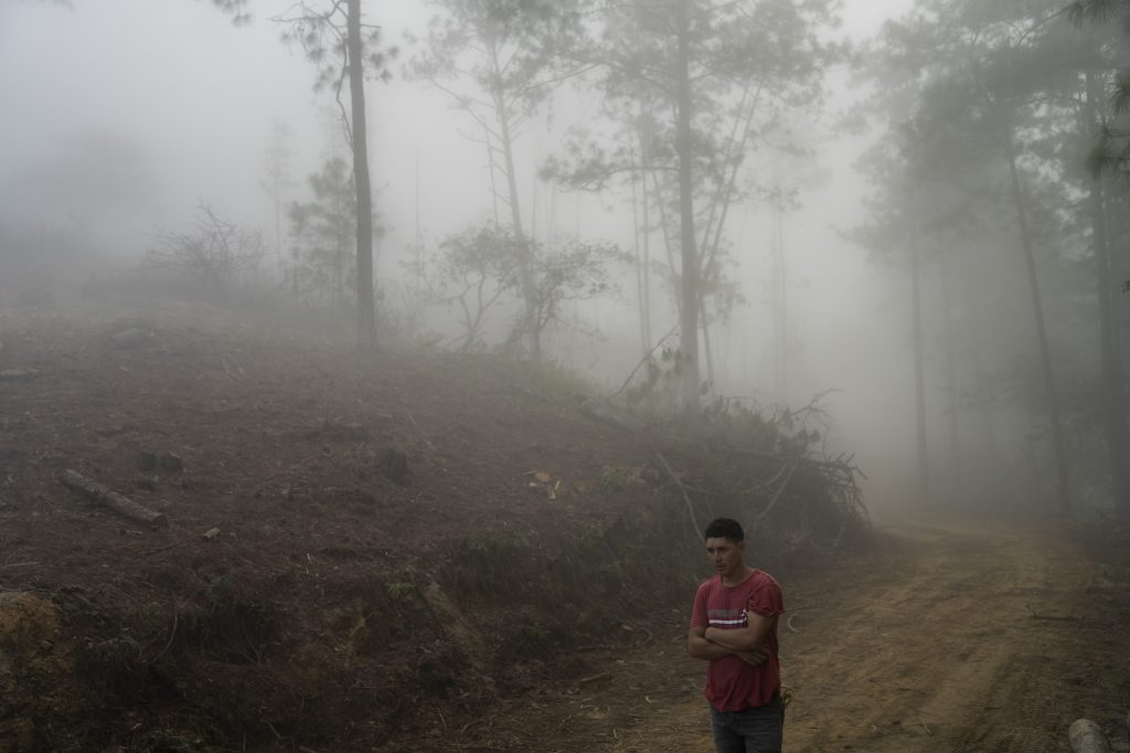 Un leñador camina por el bosque quemado en la Sierra de las Minas. Foto: Oliver de Ros.