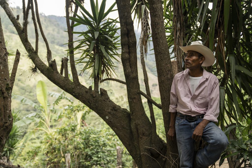 Crisantos Ramírez, alcalde comunutario de La Bolsa, explica cómo los incendios secan los árboles y facilitan la llegada de plagas. Foto: Oliver de Ros.