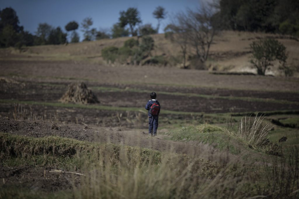 Un niño en edad escolar en el campo de Guatemala. Foto: Edwin Bercián