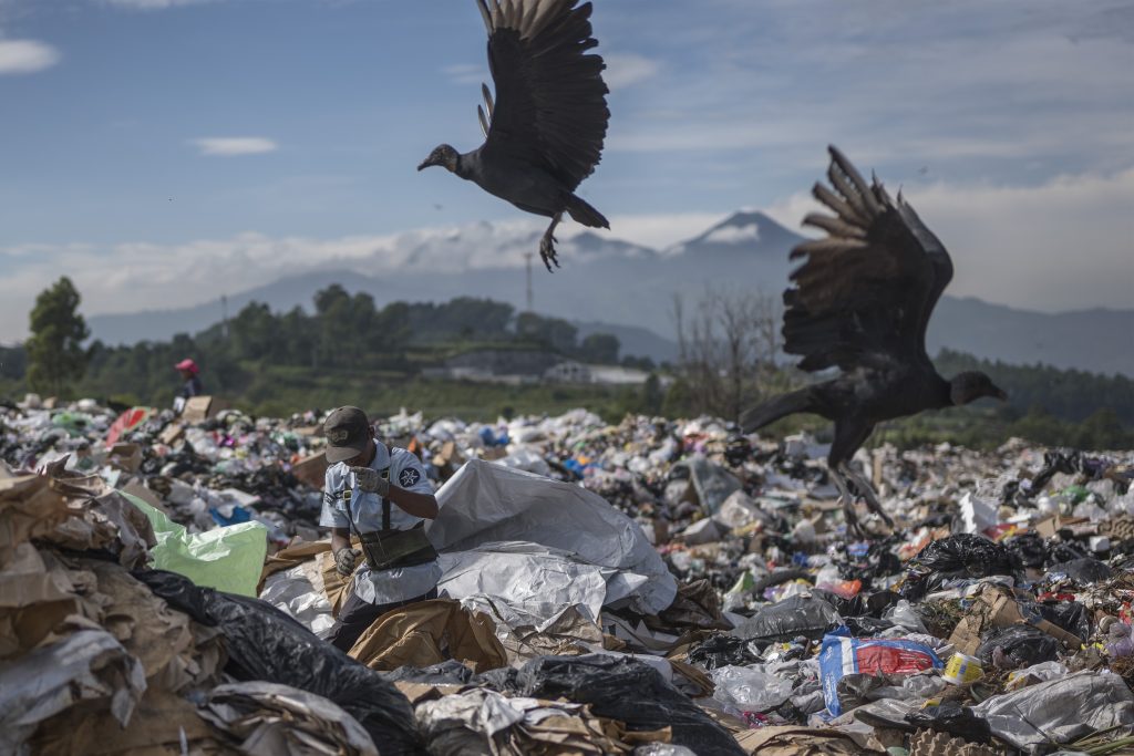 Varios zopilotes acompañan la búsqueda de plástico de Nelson, quien hace algunos años era ayudante de albañil. Foto: Edwin Bercián