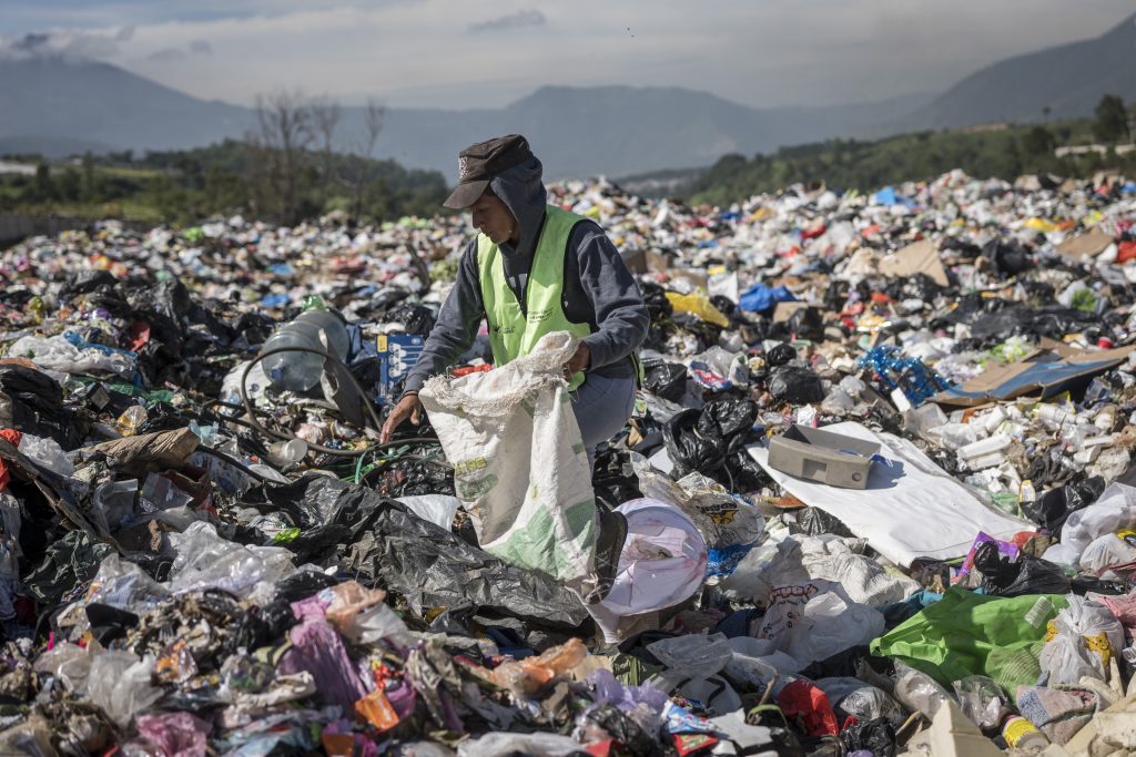 Con el trabajo de recolectora, Nidia ha logrado que su hija mayor estudie Economía en la universidad San Carlos de Guatemala (USAC). Foto: Edwin Bercián