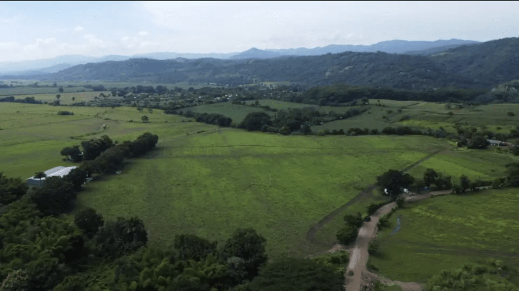 Vista panorámica de la zona en la que se ubican los terrenos con cultivos de caña de azúcar de Grupo Bukele en la zona occidental del país.