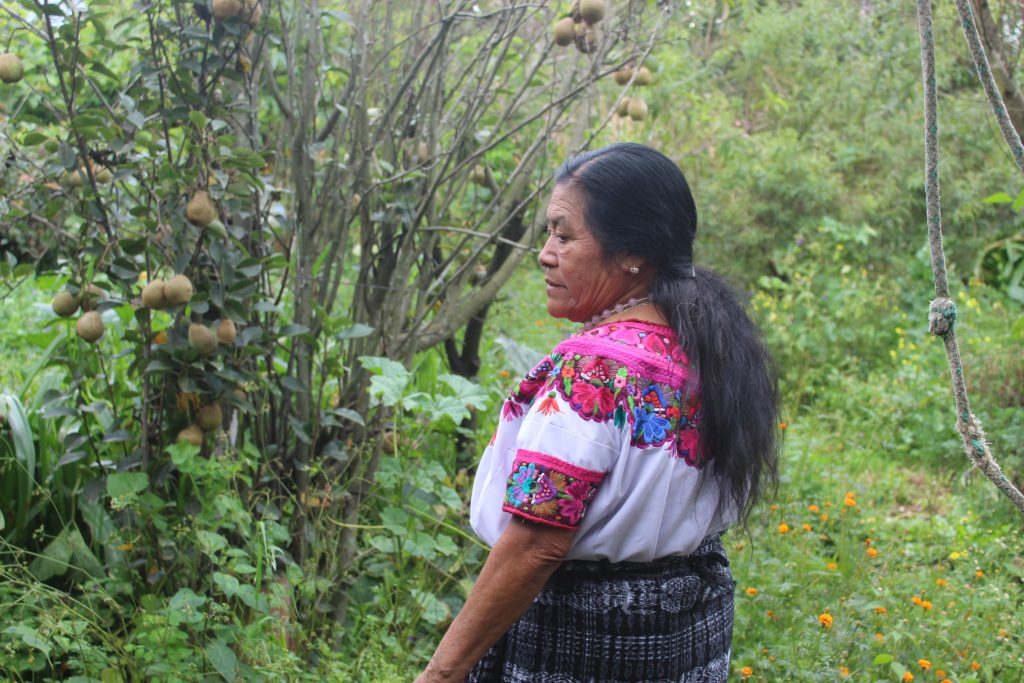 Rosa es curandera y tejedora en Cantel, Quetzaltenango. Foto: Catarina Huix