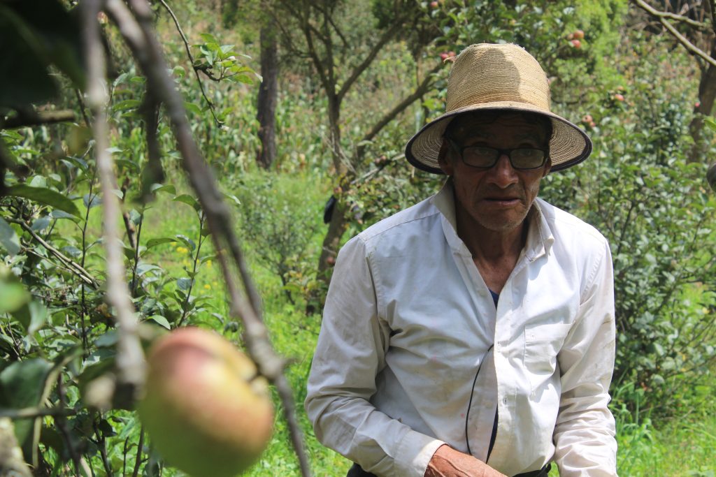 Don Santos Cojochil habla de la experiencia de cultivar.