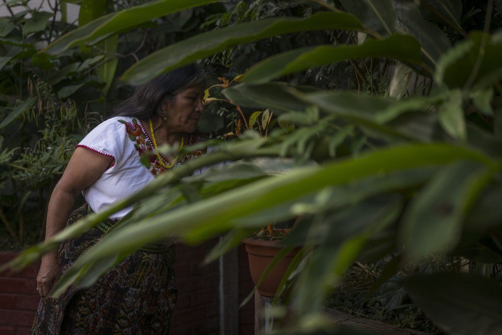 Juana Sales, maya mam, historiadora en un jardín.