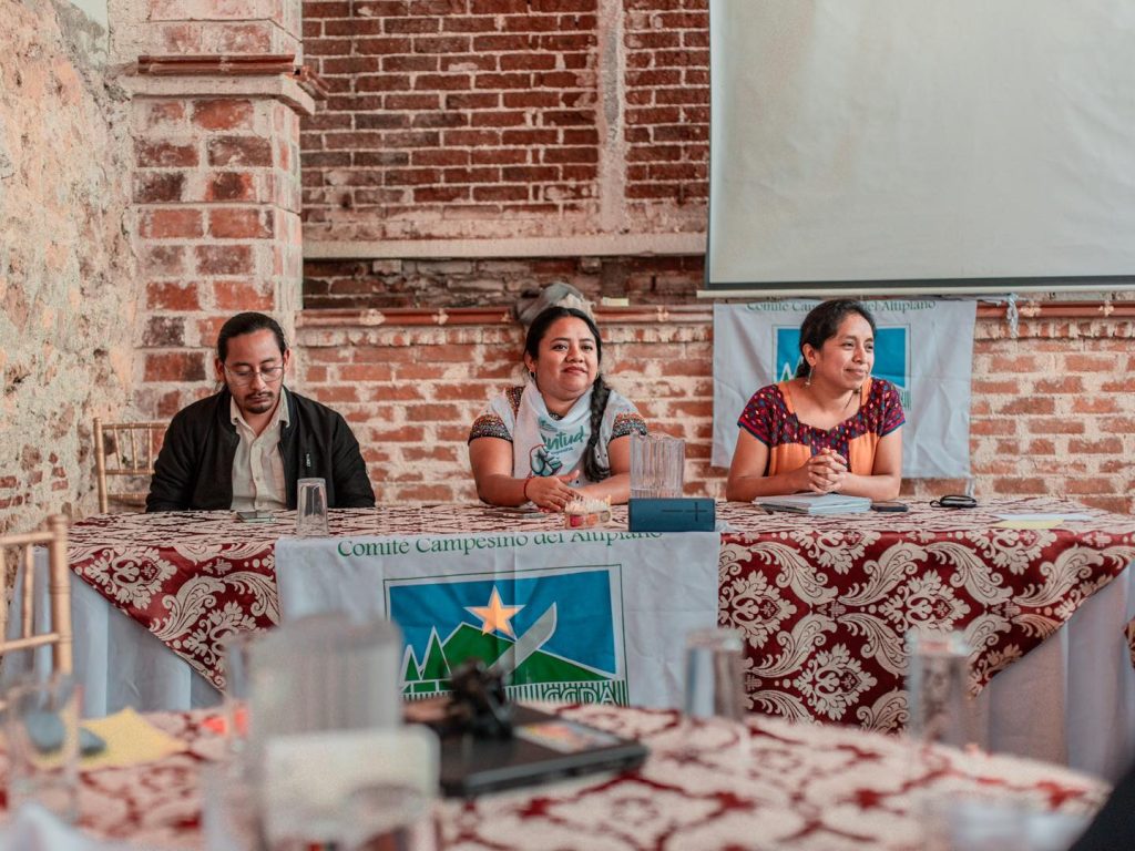 Neydi Juracán en una intervención junto a colegas del CCDA. Foto: Facebook CCDA.