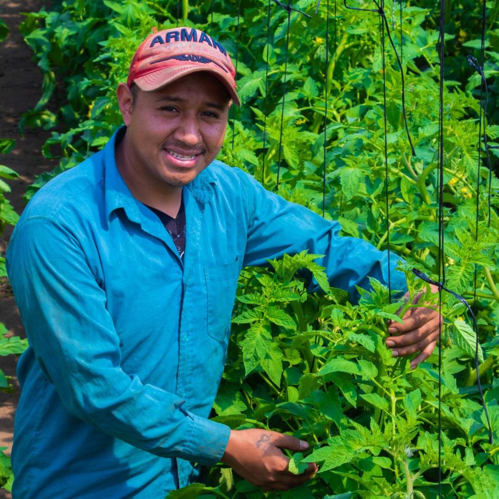 11) Soluciones Innovadoras para Cadenas de Valor Agrícola en Guatemala. Foto: USAID