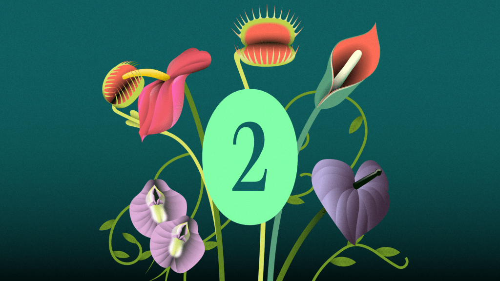 Ilustración podcast aborto derecho al placer