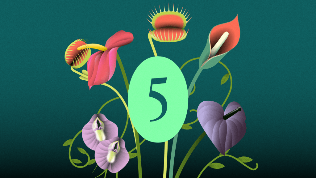 Iliustracion podcast 5 derecho al Placer. Diego Orellana