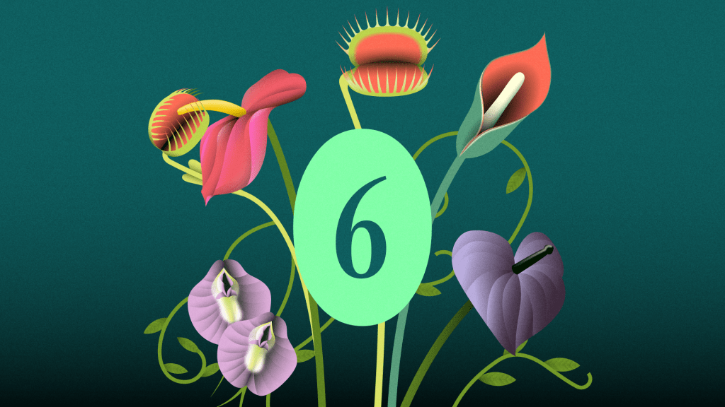 Ilustración Derecho al Placer Episodio 6