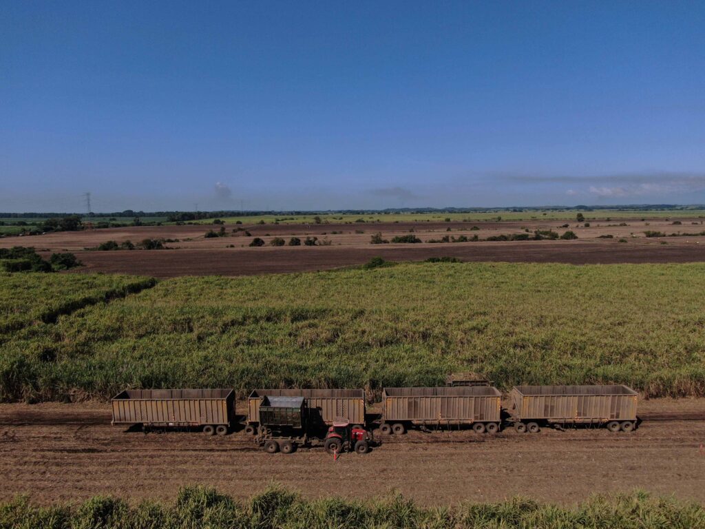 Vista aérea de las grandes extensiones de tierra donde prevalece el monocultivo de la caña de azúcar. Foto/Edwin Bercián