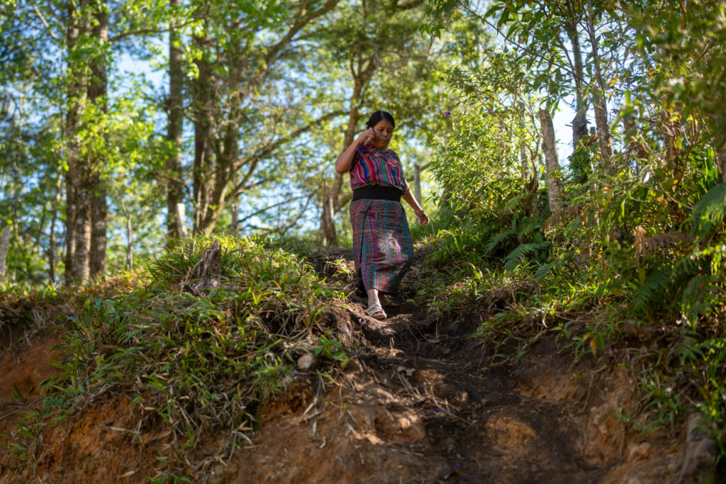 Catarina Rodríguez Aguilar desciende por un sendero cercano a su vivienda en la comunidad de Vichemal. En esta zona montañosa, los caminos de tierra forman parte de la rutina diaria de sus habitantes. Foto/Edwin Bercián
